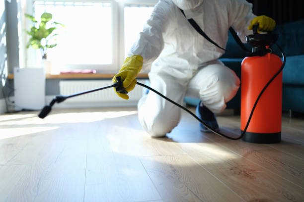 Reliable Odor Removal contractor in Elkridge, MD by Trauma Clean Pros